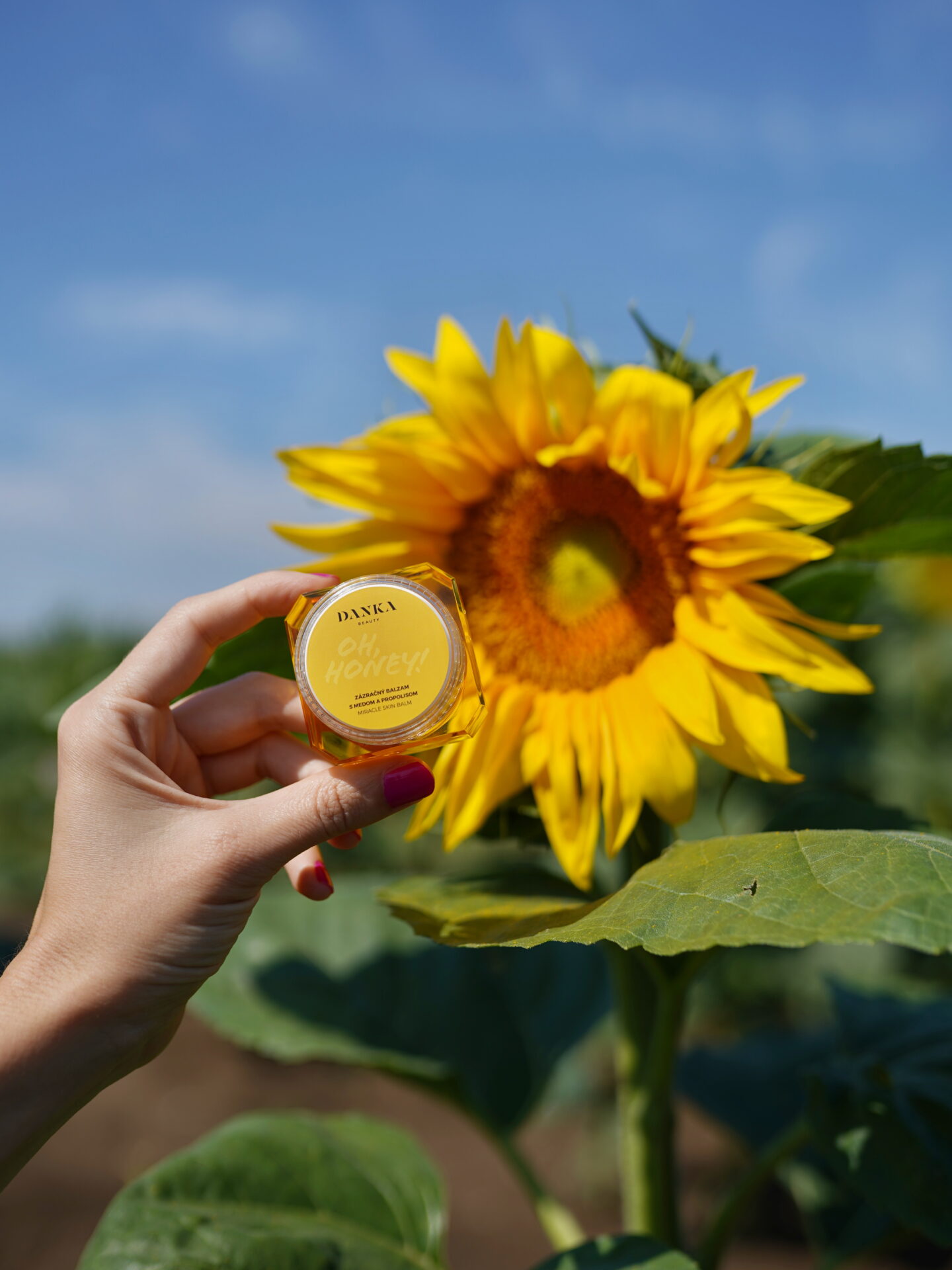 Danka beauty cosmetics medový balzam